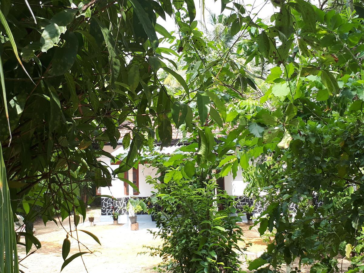 New Sam Tourist Inn Weligama Luaran gambar