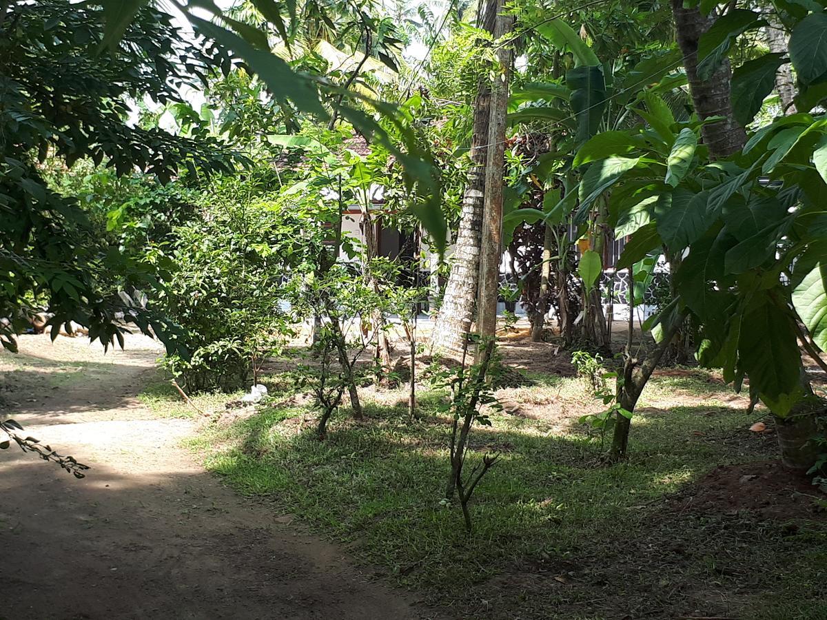 New Sam Tourist Inn Weligama Luaran gambar