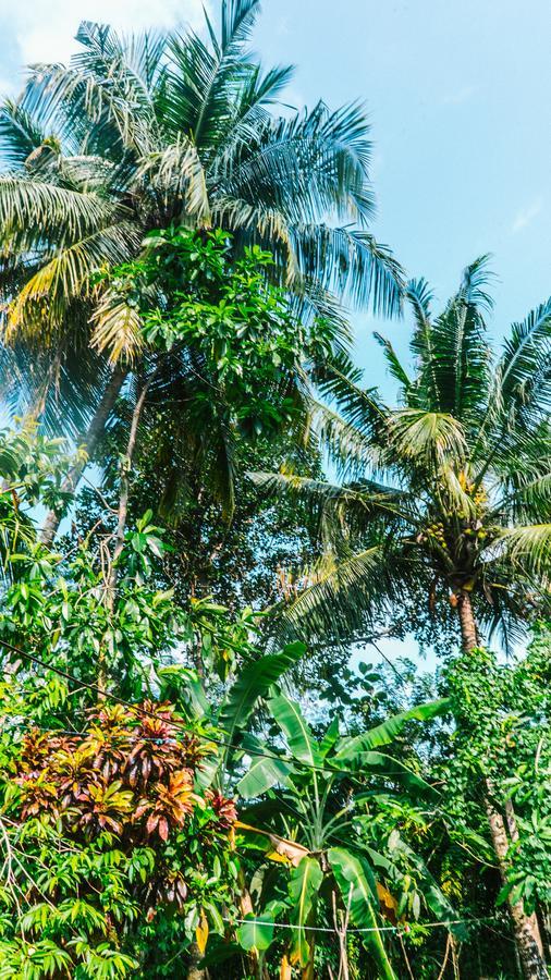 New Sam Tourist Inn Weligama Luaran gambar